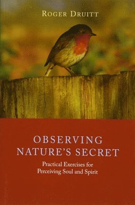 Observing Nature's Secret 1