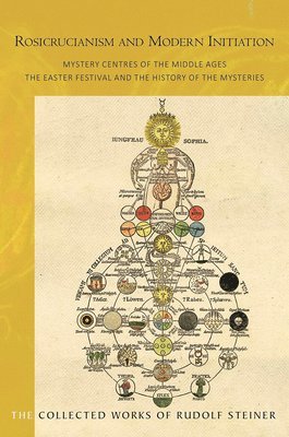 Rudolf Steiner, Frederick Amrine - Rosicrucianism and Modern Initiation, Häftad
