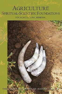 bokomslag Agriculture, Spiritual-Scientific Foundations