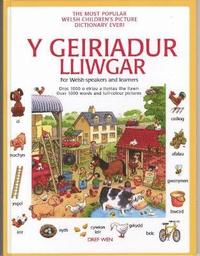 bokomslag Geiriadur Lliwgar, Y