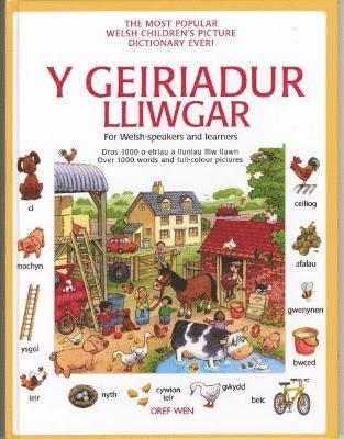 bokomslag Geiriadur Lliwgar, Y