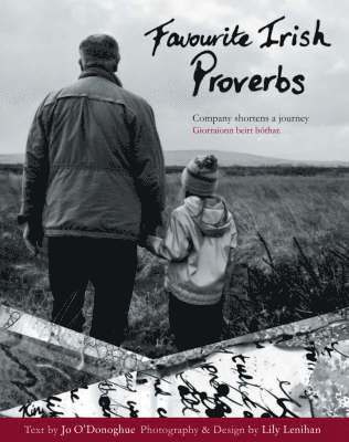 Jo O'Donoghue - Favourite Irish Proverbs, Häftad