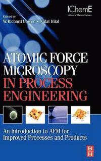 bokomslag Atomic Force Microscopy in Process Engineering