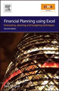 bokomslag Financial Planning Using Excel: Forecasting, Planning and Budgeting Techniques