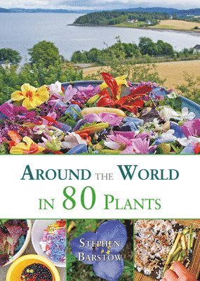 bokomslag Around the world in 80 plants