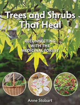 bokomslag Trees and Shrubs that Heal