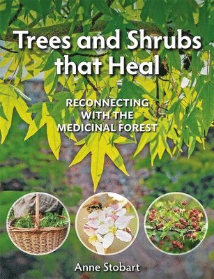 Trees and Shrubs that Heal 1