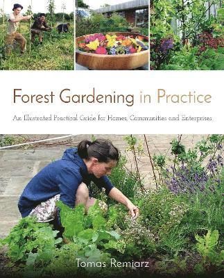 bokomslag Forest Gardening in Practice: An Illustrated Practical Guide for Homes, Communities and Enterprises