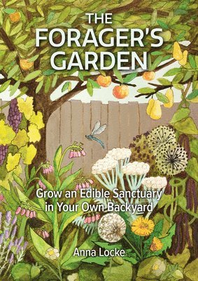 The Forager's Garden 1