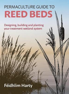 Permaculture Guide to Reed Beds 1