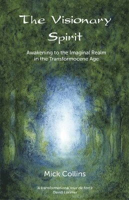 bokomslag Visionary Spirit