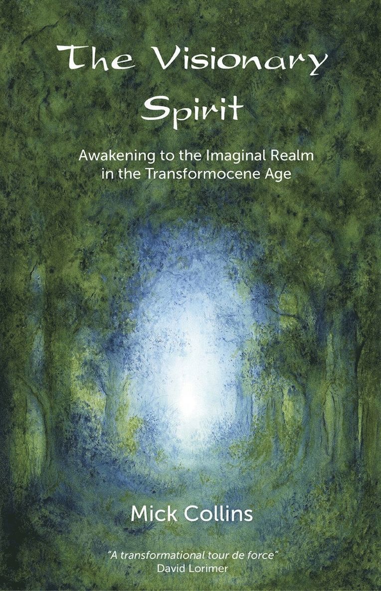 Mick Collins - Visionary Spirit, Häftad