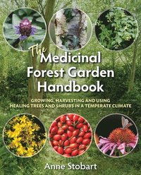 bokomslag The Medicinal Forest Garden Handbook