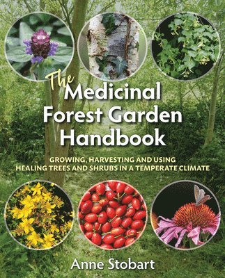 The Medicinal Forest Garden Handbook 1