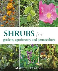 bokomslag Shrubs for Gardens, Agroforestry and Permaculture