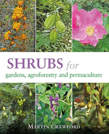 Martin Crawford - Shrubs for Gardens, Agroforestry and Permaculture, Häftad