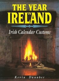 bokomslag The Year in Ireland