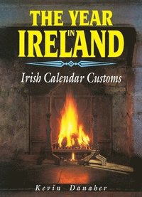 bokomslag Year In Ireland