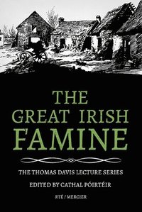 bokomslag The Great Irish Famine