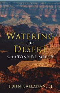 bokomslag Watering the Desert