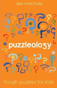 bokomslag Puzzleology