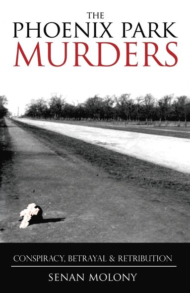 bokomslag The Phoenix Park Murders