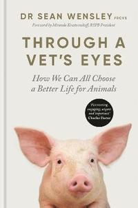 bokomslag Through A Vet's Eyes
