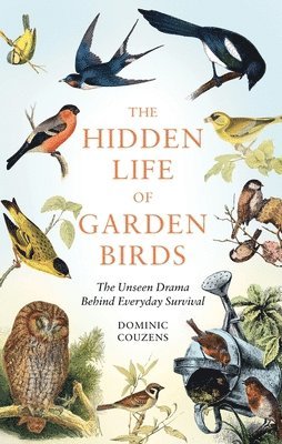 bokomslag The Hidden Life of Garden Birds