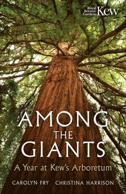 Among the Giants 1