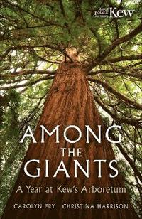 bokomslag Among the Giants