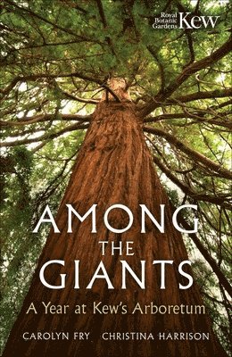 Among the Giants
