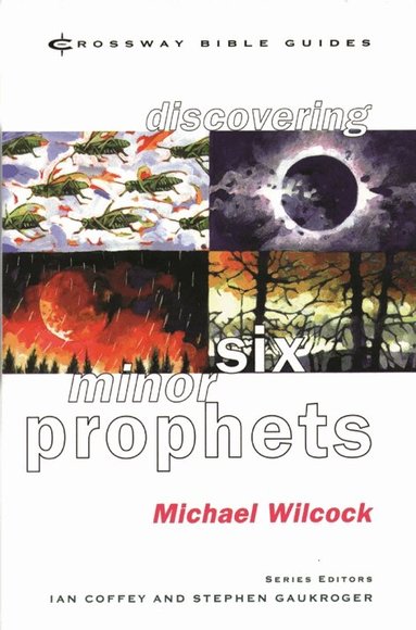 Michael Wilcock - Discovering Six Minor Prophets, Häftad