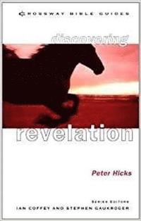bokomslag Discovering Revelation