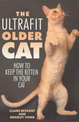 The Ultrafit Older Cat 1