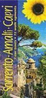 bokomslag Sorrento, Amalfi and Capri: 7 Car Tours, 72 Walk Segments