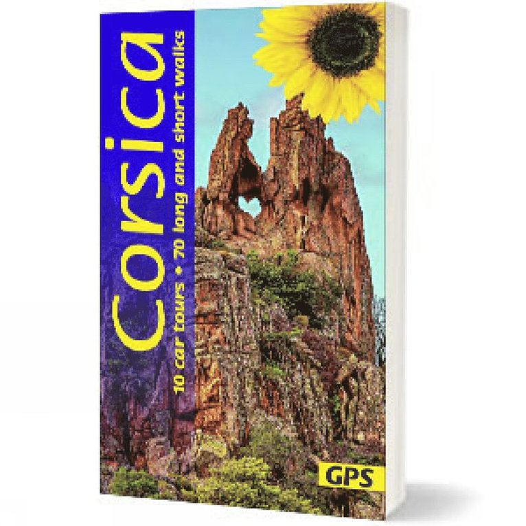 Corsica Sunflower Guide 1