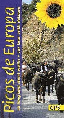 Picos de Europa Sunflower Walking Guide 1