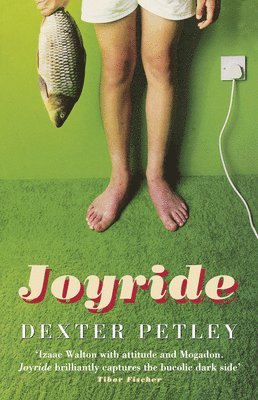 Joyride 1