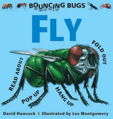 Bouncing Bugs - Fly