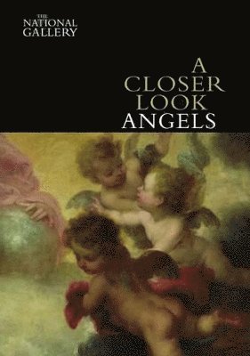 Erika Langmuir - A Closer Look: Angels, Häftad