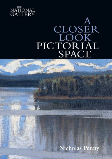 Nicholas Penny - Closer Look: Pictorial Space, Häftad