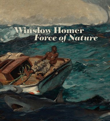 Christopher Riopelle, Christine Riding, Chiara Di Stefano - Winslow Homer, Häftad
