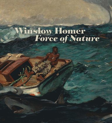 bokomslag Winslow Homer