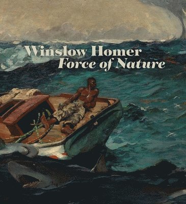 Winslow Homer 1