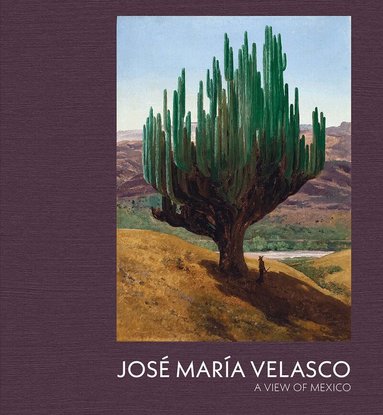 Dexter Dalwood, Daniel Sobrino Ralston - Jose Maria Velasco, Inbunden