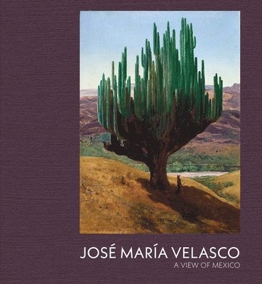 Jose Maria Velasco: A View of Mexico 1