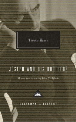 bokomslag Joseph and His Brothers