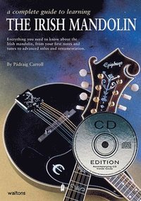 bokomslag A Complete Guide to Learning the Irish Mandolin [With CD (Audio)]