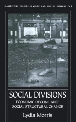 bokomslag Social Divisions