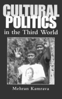 bokomslag Cultural Politics in the Third World